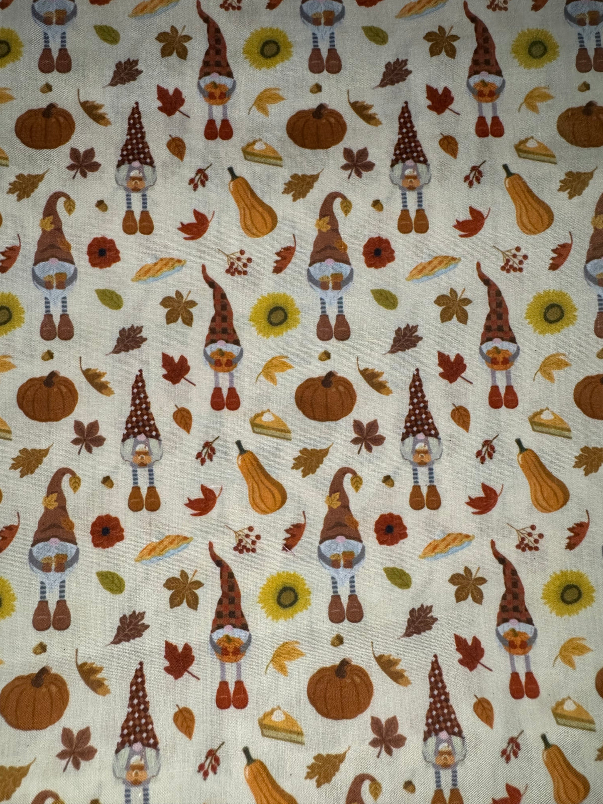 Gnomes d'automne