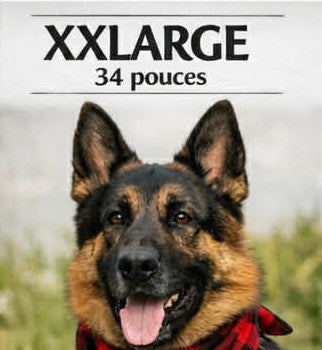 Lots de 24 foulards assortis (XXLarge)