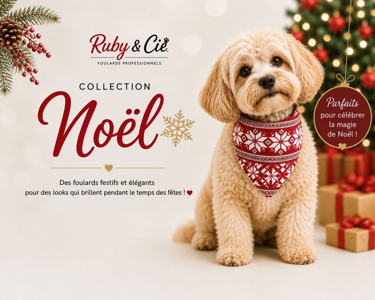 Noël