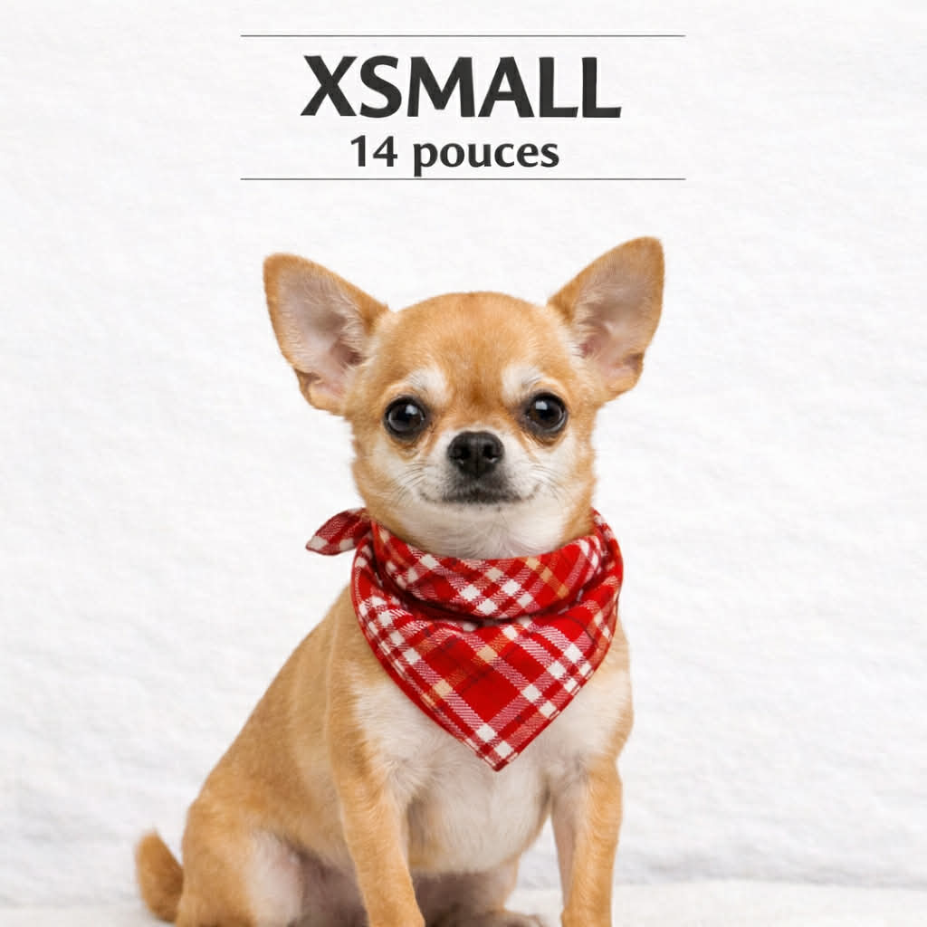 Lots de 24 foulards assortis (Xsmall)