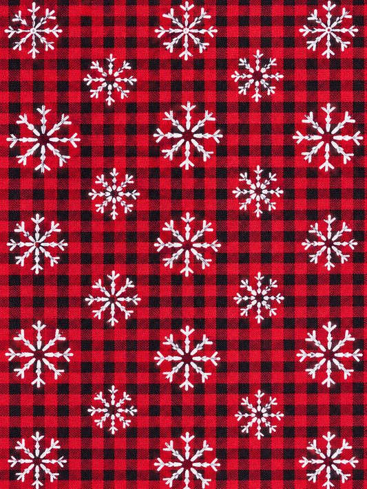 Hiver canadien