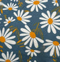 Marguerite des champs