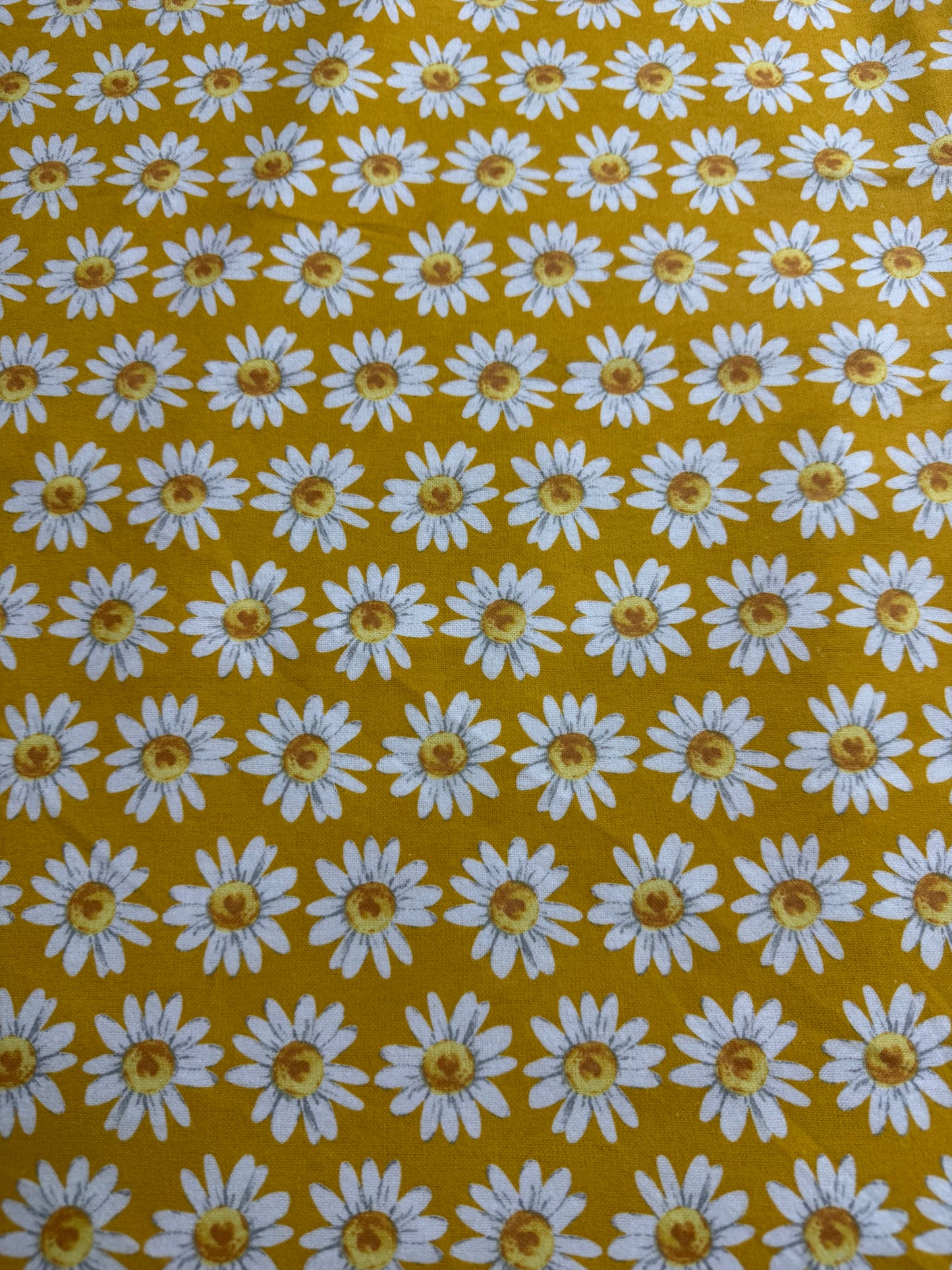 Marguerite fond jaune