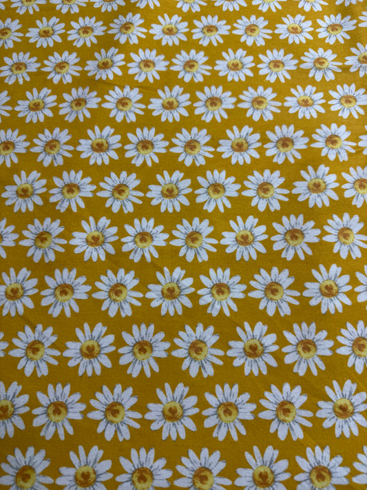 Marguerite fond jaune