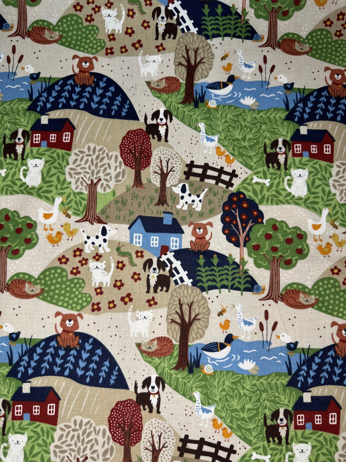 Chien à la ferme
