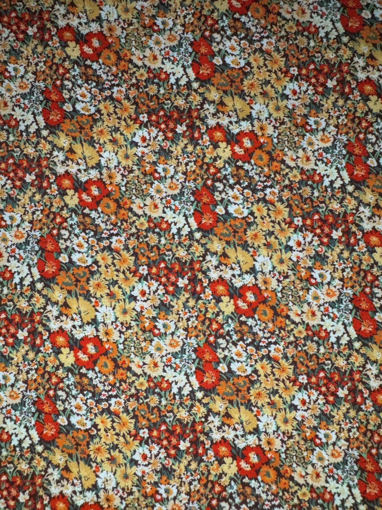 Champ fleuri