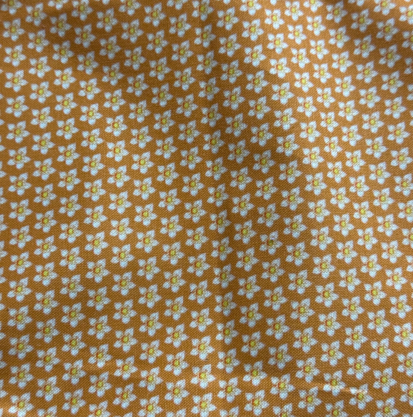 Fleur Ocre