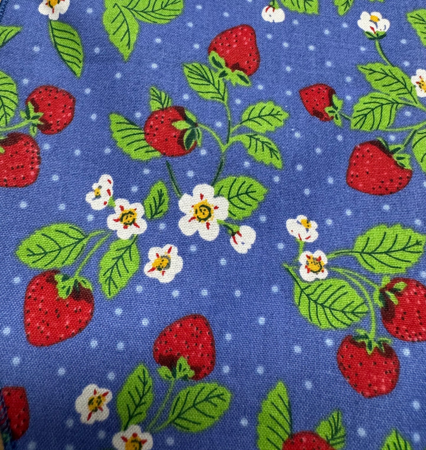 Fraise des champs
