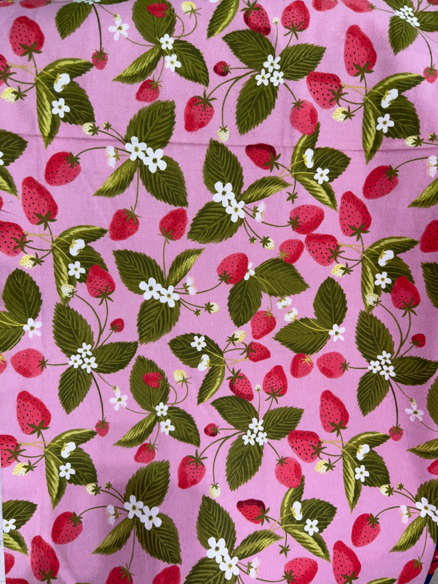 Fraise fd rose