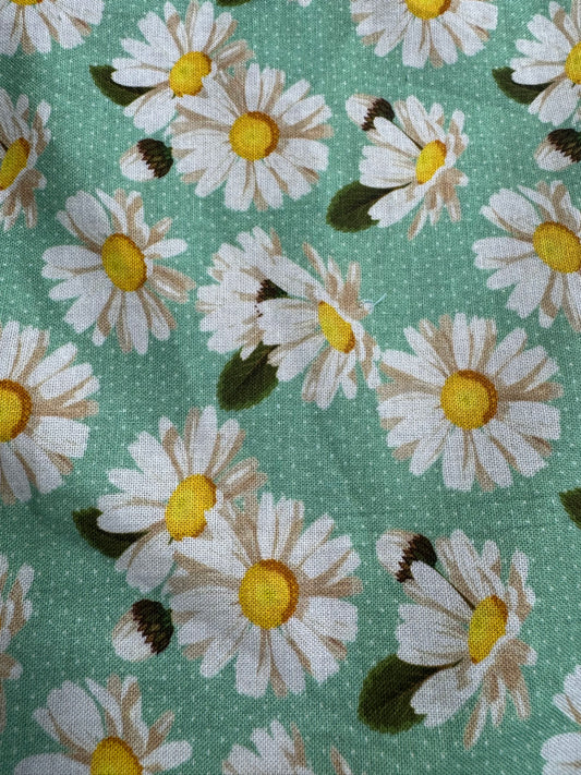 Marguerite fond vert