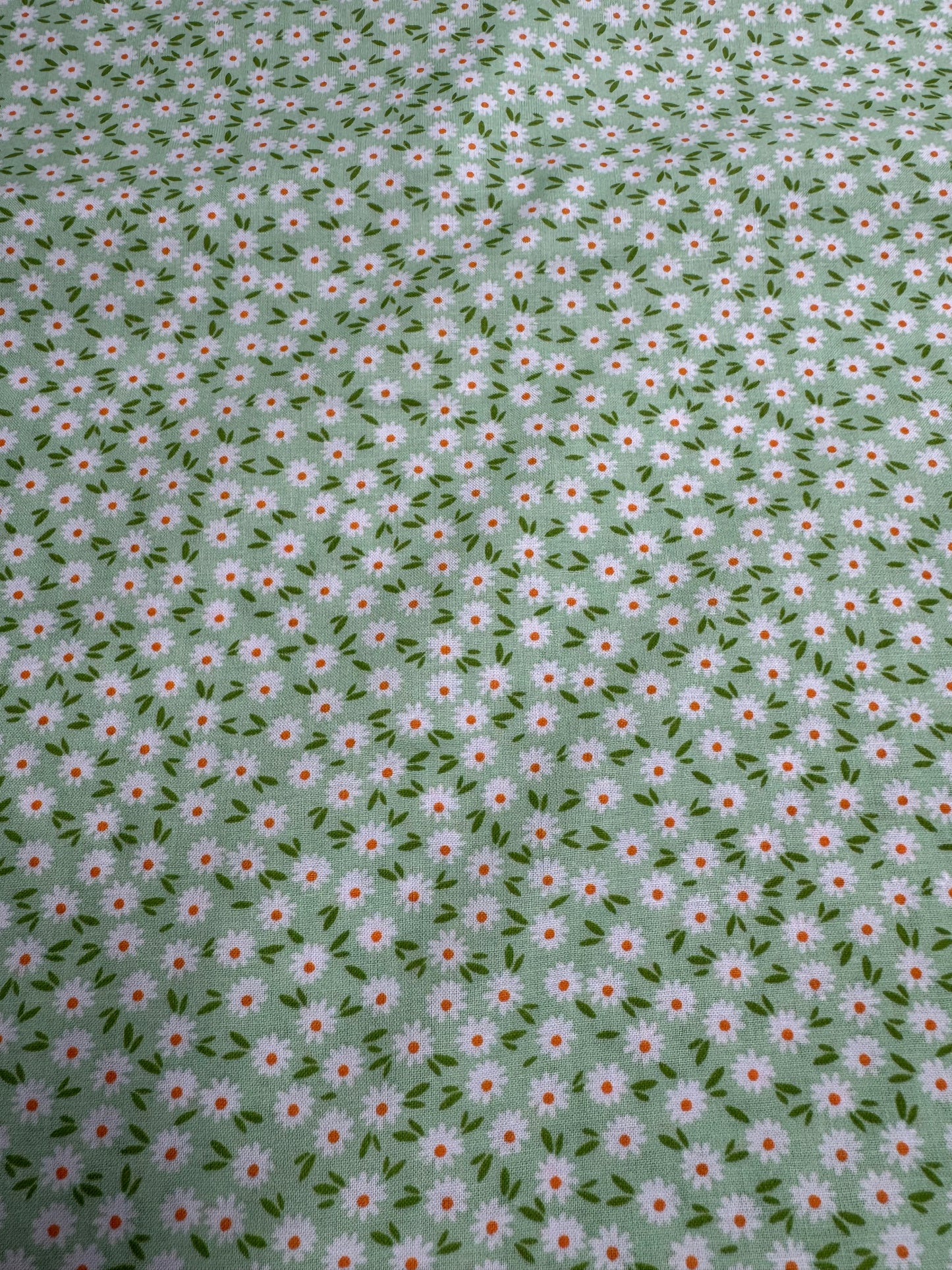 Fleur fond menthe