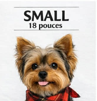 Lots de 24 foulards assortis (Small)